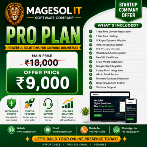 PRO Plan Website Package